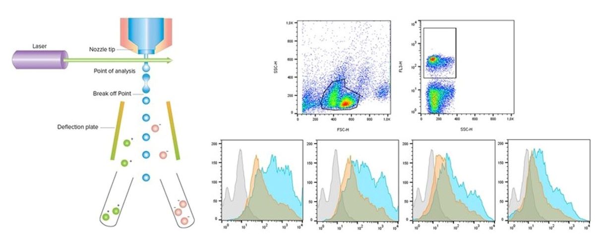 Flow Cytometry Unit